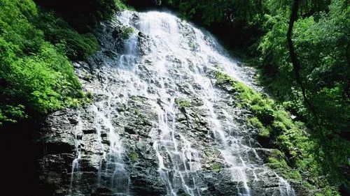智能环保智能